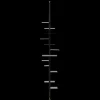 Adelaide Shelf