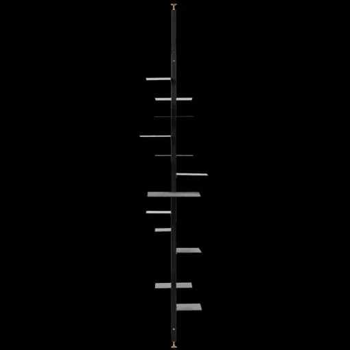 Adelaide Shelf
