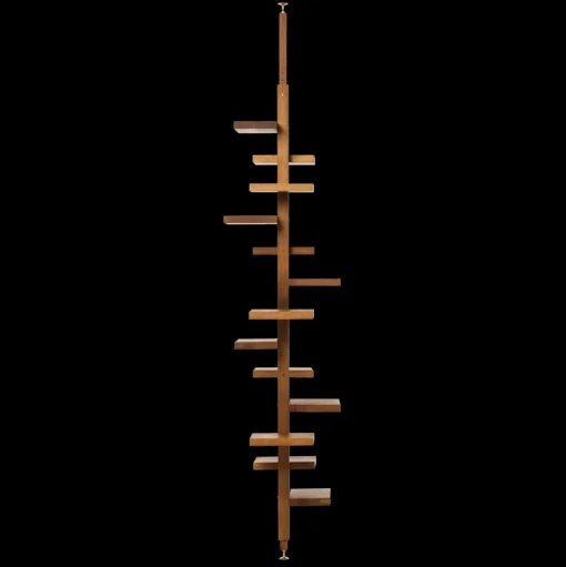 Adelaide Shelf