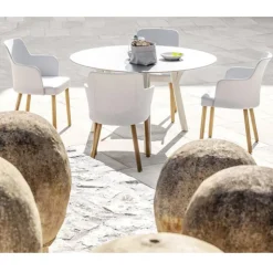 Emma Chair with Arms - Upholstered - Wood