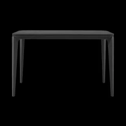 Erika Desk