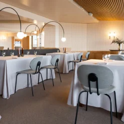 Hari Chair - Upholstered