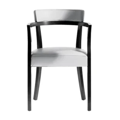 Neoz Chair with Arms