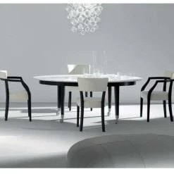 Neoz Chair with Arms