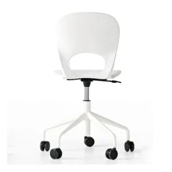 Pikaia Work Chair