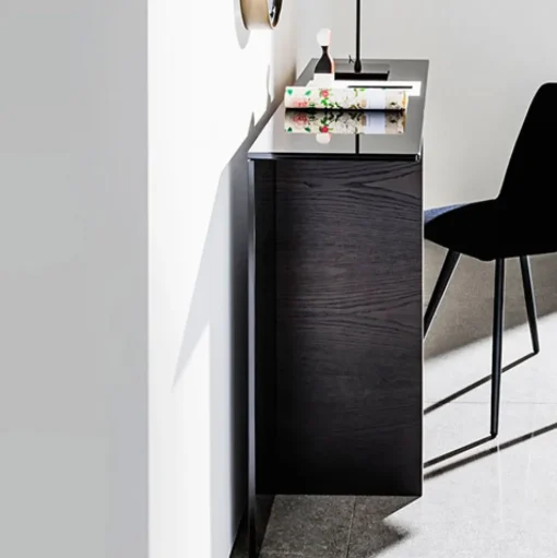 Regolo Console