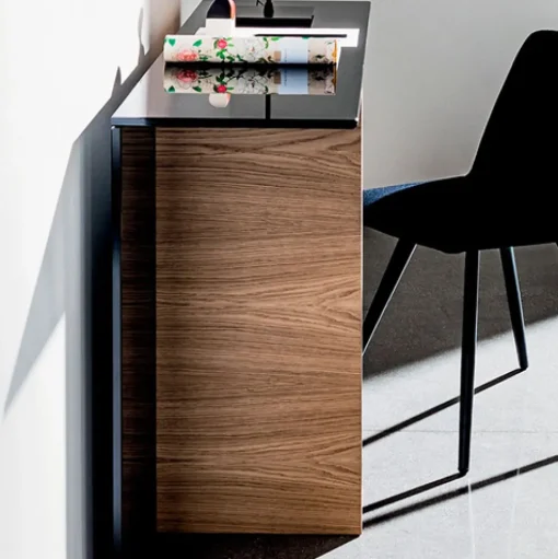 Regolo Console