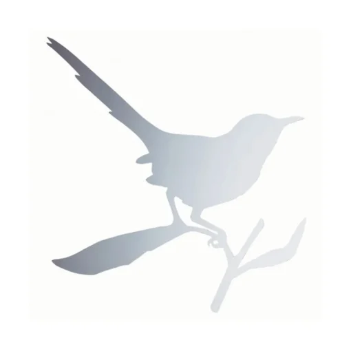 Taylor Bird Mirror