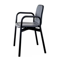 Two Tone Chair with Arms