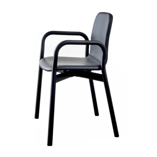Two Tone Chair with Arms