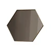 Visual Mirror - Hexagon